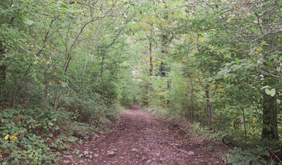 Beautiful view of the Bois Castagne