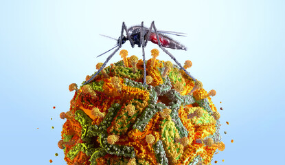A mosquito Aedes Aegypti on a yellow fever virus. 3D mosquito flavivirus, tropical disease spread, illness risk, prevention, endemic area. Medicine science, healthcare, infection epidemic, vaccination