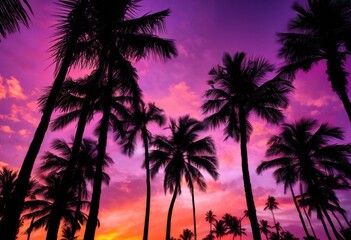 stunning silhouette exotic tropical palm trees vibrant sunset sky perfect nature lovers scenic landscapes, evening, colors, outdoor, scene, clouds, environment