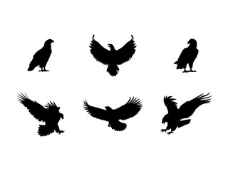 Set of Eagle Silhouette in various poses isolated on white background