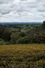 Obraz premium Foto scattata attorno alle colline Tassarolesi, in provincia di Alessandria, lungo la strada che collega Tassarolo a Gavi.