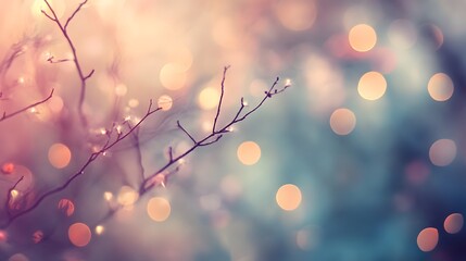 Soft, circular bokeh light spots, each in pastel hues, gently blur into the background, creating a dreamy and atmospheric composition.