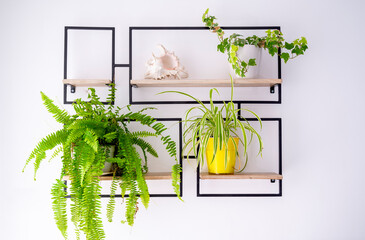 decorative shelf with flowers on white wall
