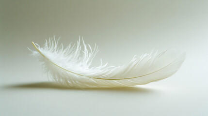 Obraz premium Mental health illustration. The white feather. Generative AI.