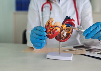 Cardiologist holds scalpel and concept of cardiac surgery