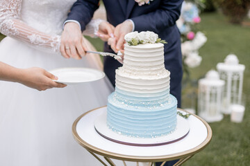 bride and groom cut the wedding cake together