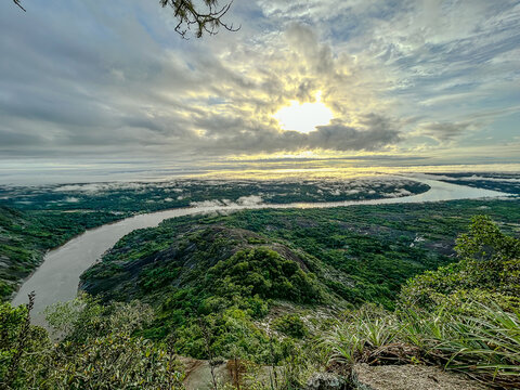 The Amazon