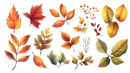 Obraz premium Watercolor autumn leaves border, white background, clip art for stickers