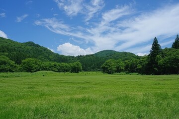 Fototapeta premium Breathtaking green meadow under a bright blue sky in a serene mountain landscape