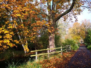 Herbst im Park