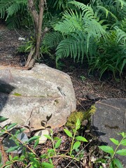 公園６
