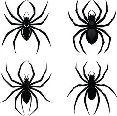 Spider net vector art design template