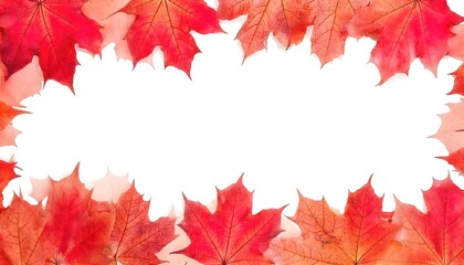 Fototapeta premium Acer rubrum, the red maple, swamp, water or soft maple, the most common and widespread deciduous trees of eastern and central North America. Autumn fall color leaf leaves isolated on white copy space