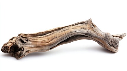 Piece of driftwood isolated on white background