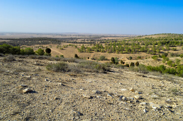 Arid Desert Landscape: Rocky Terrain with Sparse Vegetation