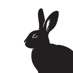 Illustration of Rabbit Silhouette Shadow on a White Background.