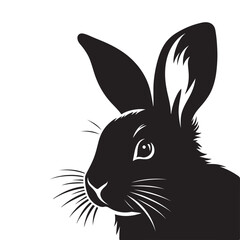 Silhouette Rabbit Shadow Art on White Background.