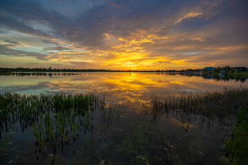 Obraz premium Tropical lake vegetation in southern swamp at sunset. Evening landscape of Florida wetland flora