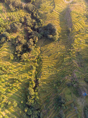 Aerial view of terraced fields and lush green landscape.