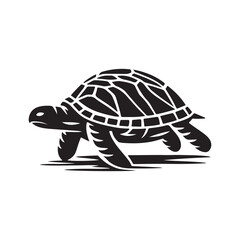 Shadow Silhouette of a Turtle - Clean White Background. 