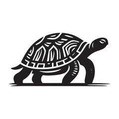 Illustration of a Turtle Silhouette in Shadow on White.