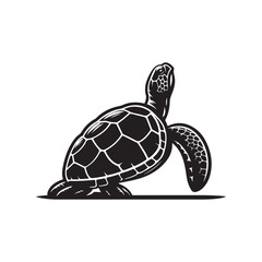 Silhouette of a Turtle - Shadow Illustration on White.