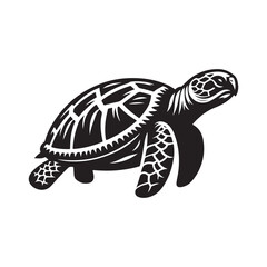 Fototapeta premium Silhouette of a Turtle - Shadow Illustration on White.