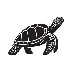 Silhouette of a Turtle - Shadow Illustration on White.