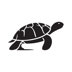 Turtle Silhouette Art - Shadow Design on White Canvas.