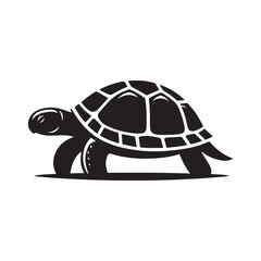 Simple Turtle Silhouette Illustration - Shadow on White.