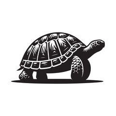 Turtle Silhouette Shadow Effect on White.