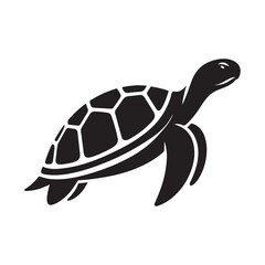 Turtle in Silhouette Shadow Illustration on a White Background.