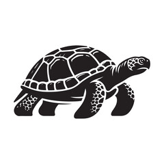 Turtle Silhouette Art.