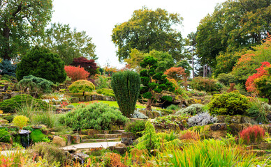 Beautiful landscaped Rockery Alpine Garden in full Autumn colour