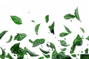 High-Quality Image of Fresh Basil Leaves Falling Isolated on White Background Suitable for Culinary and Cooking Contexts