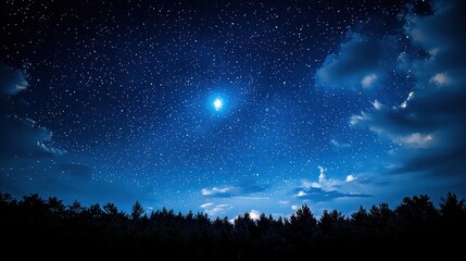 Fototapeta premium Beautiful Night Sky Background