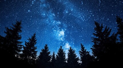 Naklejka premium Enchanting Starry Night Over Forest Canopy