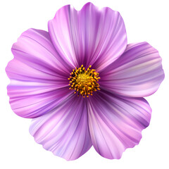 Obraz premium Stunning Cosmos Flower Blooms Bringing Vibrance and Color to Any Floral Arrangement or Garden Setting for Decor and Inspiration