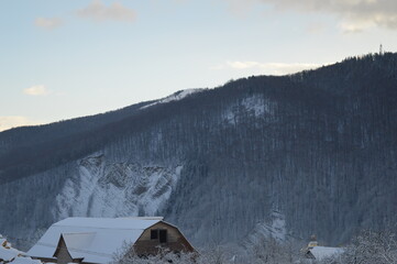 Snow-capped Carpathian mountains and coniferous forest - Yaremche