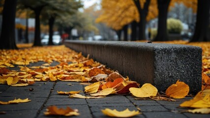 autumn leaves on the ground