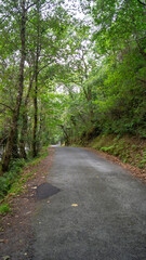 Senderos para disfrutar del Parque Natural de las Fragas do Eume