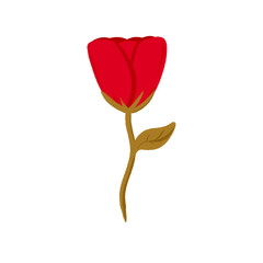 Minimalist Illustration of a Red Tulip Flower in a Modern Art Style