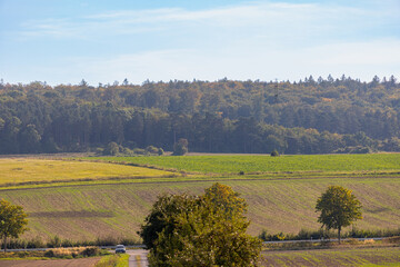 Fototapeta premium Panoramic view over a field with a row of trees and a hill in the background