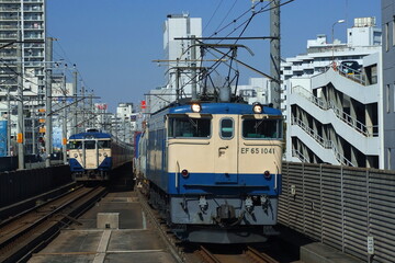  登場時の姿を色濃く残すEF65-1041号機と房総地区で活躍した113系電車_2008/2/21撮影