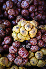 asam paya or sour fruits from the swamp