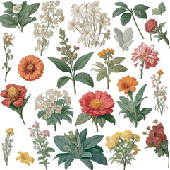 Flowers floral pattern on white background