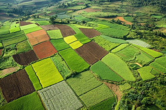 A vivid image depicting a patchwork of intensely green rural agricultural lands with various crop fields, illustrating lushness and fertility in the countryside farming areas.