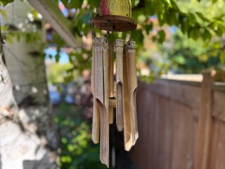 Bamboo wind chime hanging on a birch tree. Close up view