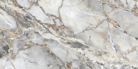 Fototapeta premium White Marble with Veins of Gold and Grey