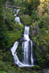 Scenic view of waterfall in Triberger Wasserf&auml;lle. Im Schwarzwald 